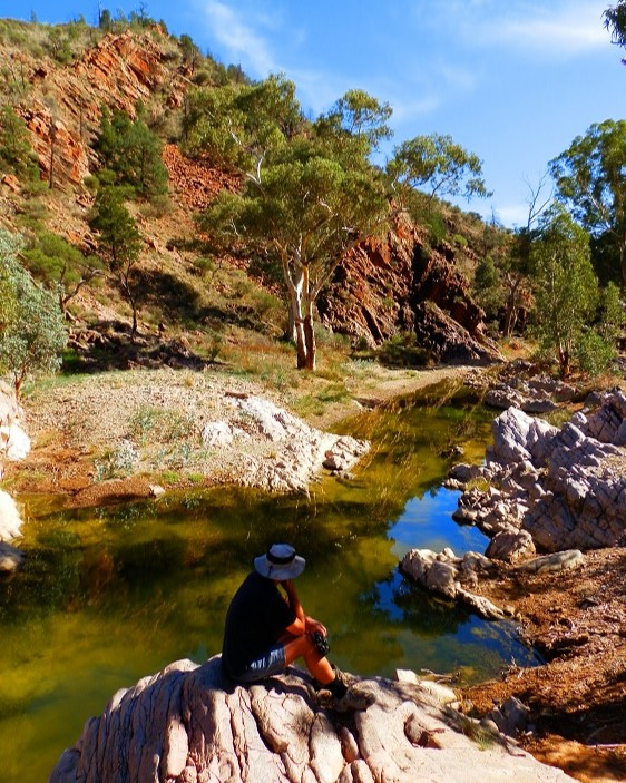 A person resting by Bolla Bollana Spring, surrounded by rugged terrain and vibrant eucalyptus trees in the Arkaroola Wilderness Sanctuary, Flinders Ranges, South Australia.