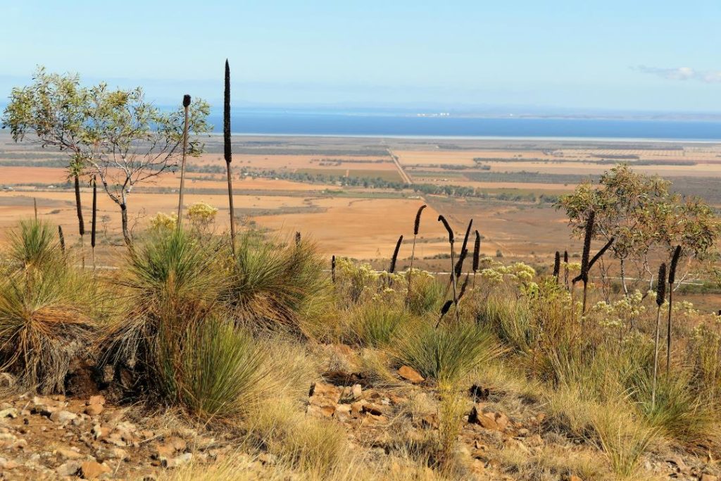 View across farmlands and the shimmering waters of Spencer Gulf, as seen from the Bridle Trail in the Flinders Ranges, South Australia.