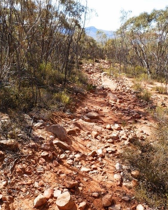 Rocky path on the Bridle Gap Track, featuring red earth and native vegetation typical of Wilpena Pound in the Flinders Ranges, South Australia.