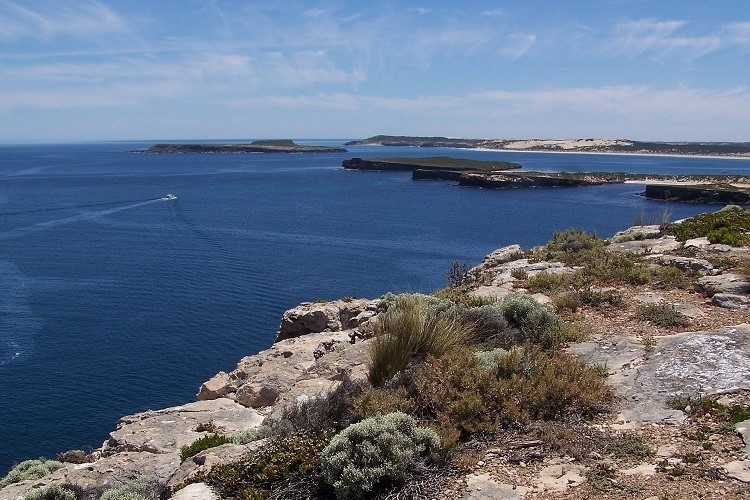 A stunning view of the rocky coastline and deep blue waters at Pondalowie Bay in Dhilba Guuranda-Innes National Park, Yorke Peninsula, South Australia, with small boats visible on the horizon