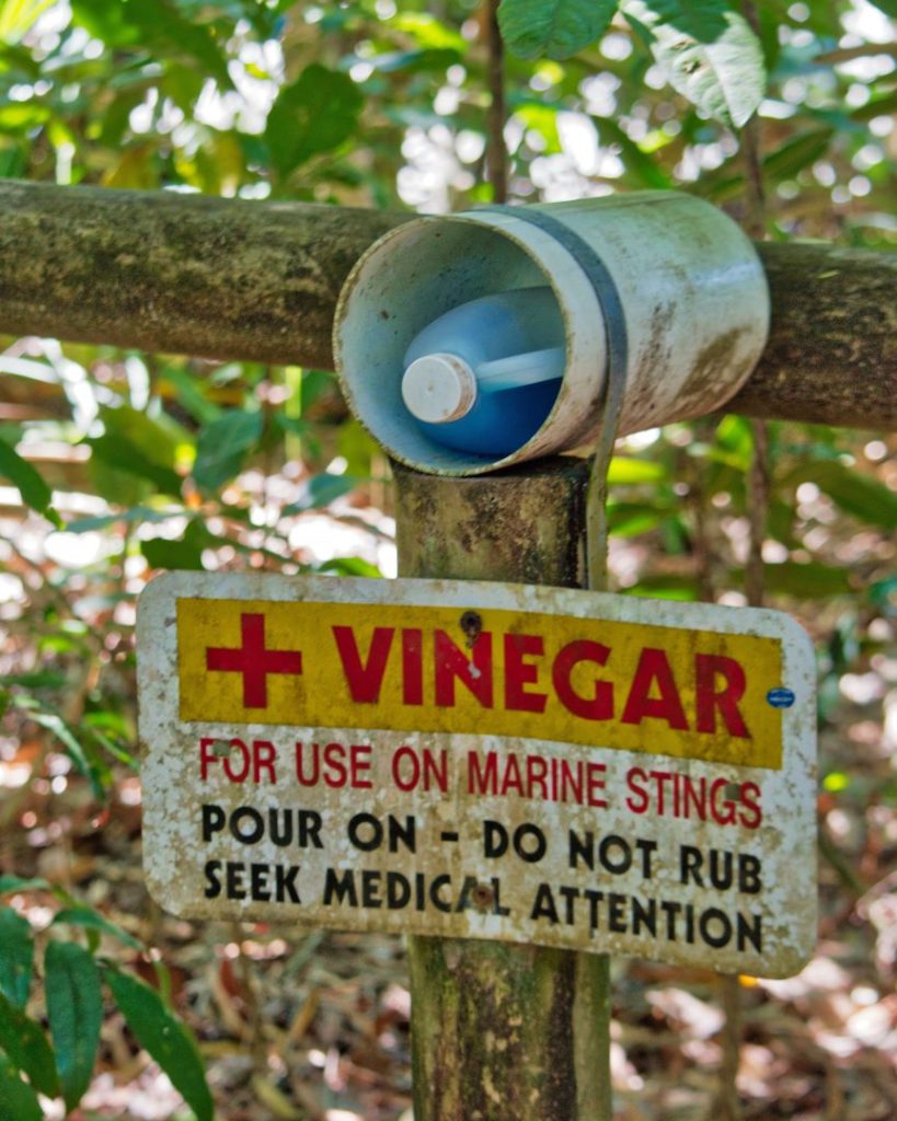 A weathered sign attached to a tree reads, "Vinegar for use on marine stings. Pour on - do not rub. Seek medical attention," with a small container holding a bottle of vinegar above it.