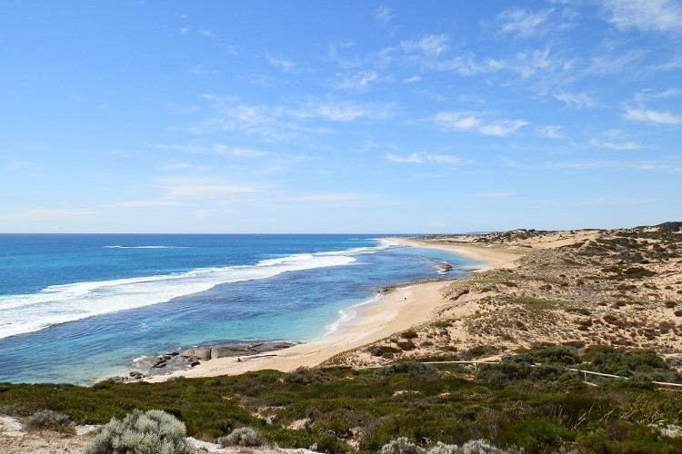 A scenic view of Browns Beach at Dhilba Guuranda-Innes National Park, Yorke Peninsula, South Australia, featuring pristine blue waves rolling onto the sandy coastline under a bright sky.
