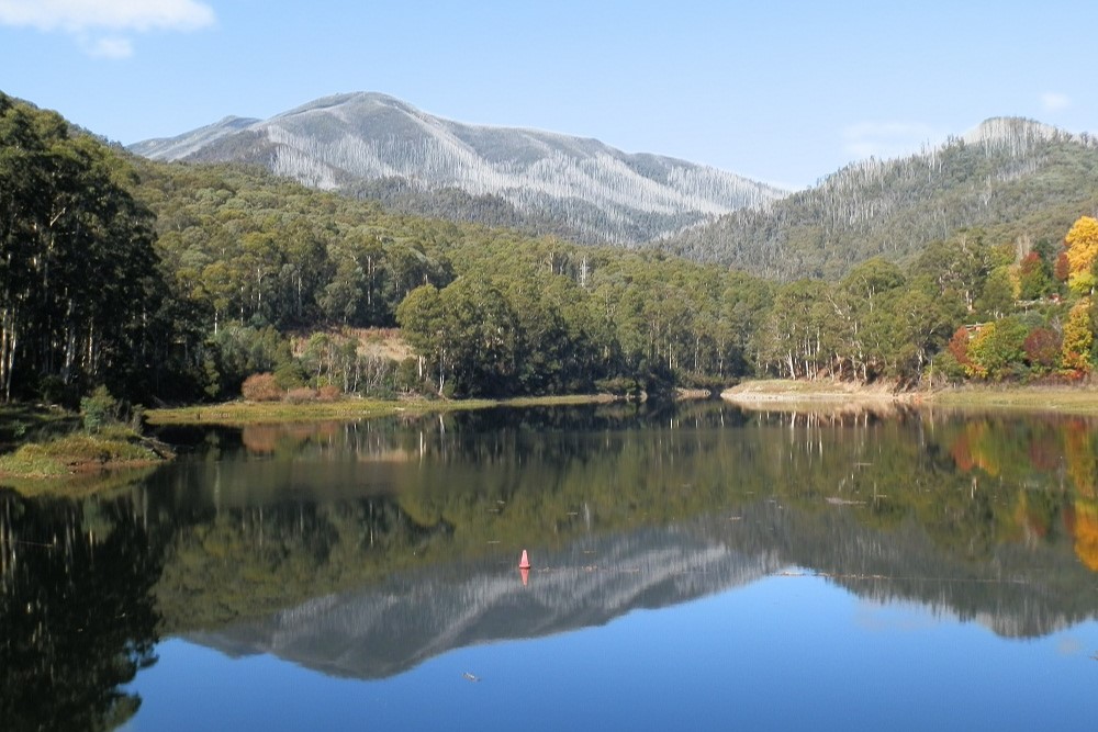 Scenic view of a still lake reflecting green trees and rugged mountains in the background, under a bright, clear sky.