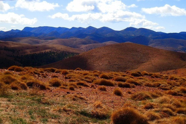 View of the rugged Wilpena Range from outside Wilpena Pound, showcasing the natural beauty of the Flinders Ranges, South Australia.