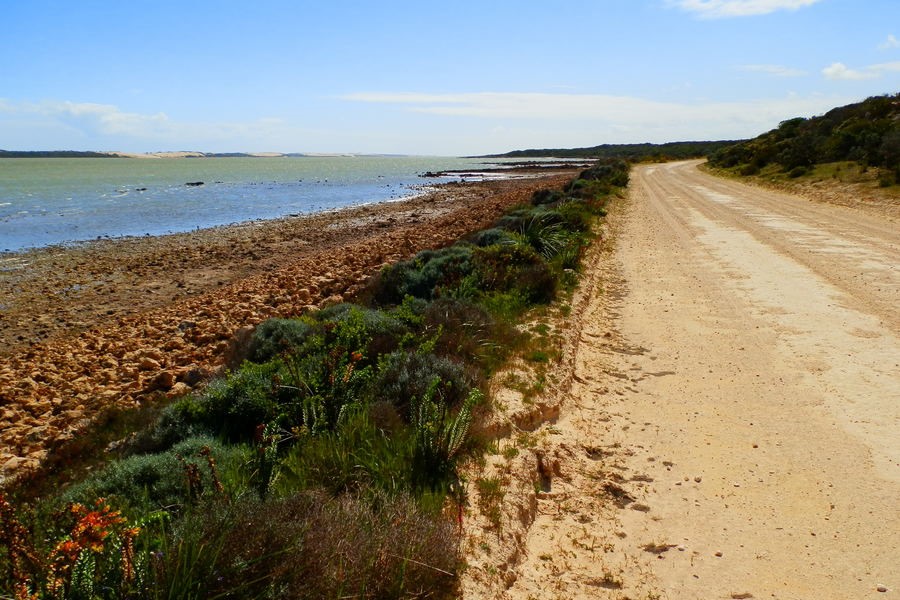 Coastal landscape along Salt Creek Loop Trail, Coorong National Park, South Australia with a sandy dirt road running parallel to a rocky shoreline and calm waters for four-wheel driving.