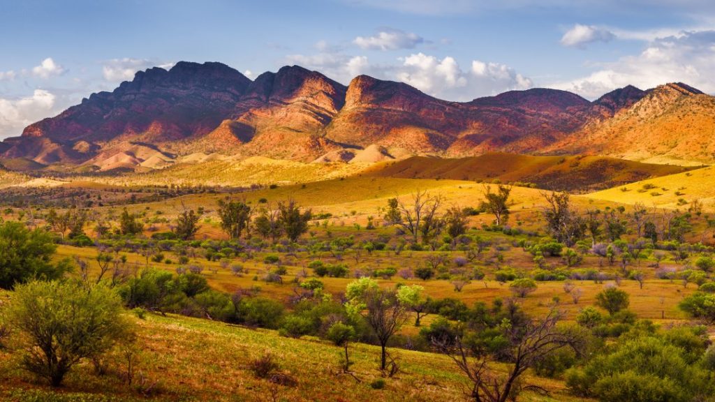 Stunning red and golden landscape of the Flinders Ranges, with sunlight highlighting the contours of the hills near Wilpena Pound, South Australia.