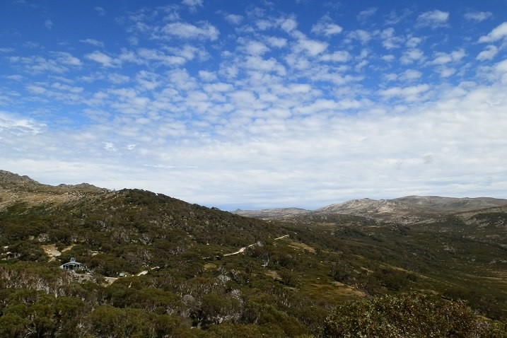 A scenic view of rolling green hills, scattered trees, and a winding road near Charlotte Pass in New South Wales, home to the highest toilet in Australia, under a sky with light clouds.