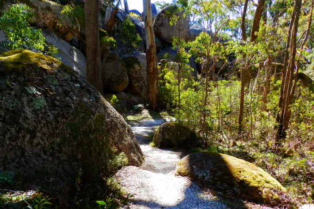 A path winds through a lush forest, with large granite boulders scattered throughout. The path is covered in gravel and surrounded by green trees and ferns.