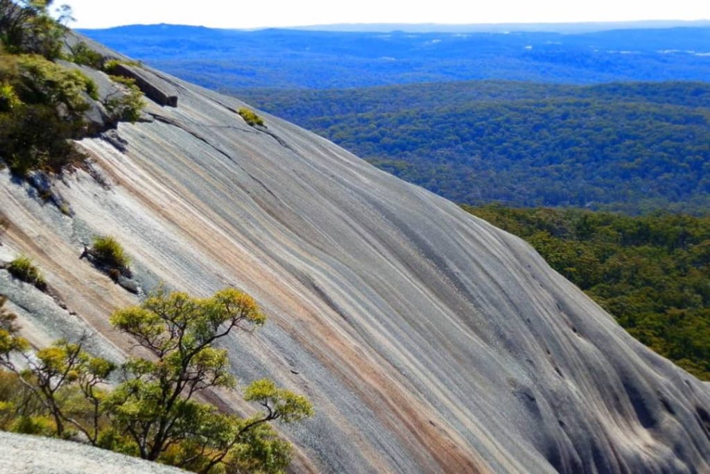 A stunning view from Bald Rock Summit in New South Wales, showcasing a vast expanse of forested hills and a dramatic, striated granite rock face.