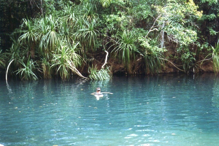 A person leisurely swimming in the clear, blue-green waters of Berry Springs, located near Darwin, Northern Territory, Australia. The surrounding lush vegetation, including pandanus trees, creates a natural and tranquil setting along the water's edge. This popular spot is known for its refreshing, spring-fed pools amid a tropical landscape.
