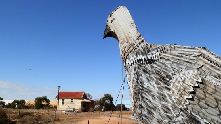 Close-up of the Big Mallee Fowl sculpture with a small building in the distance.