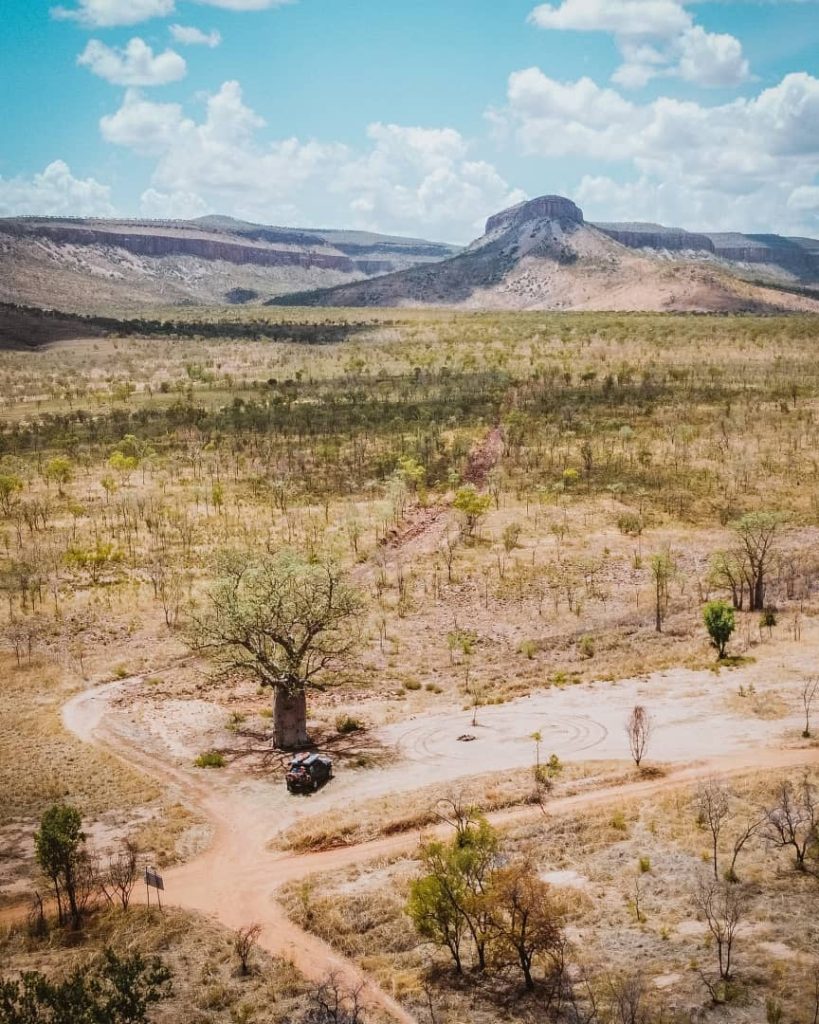 A lone Boab tree stands by a dirt road on the Gibb River Road, with rugged hills in the background.