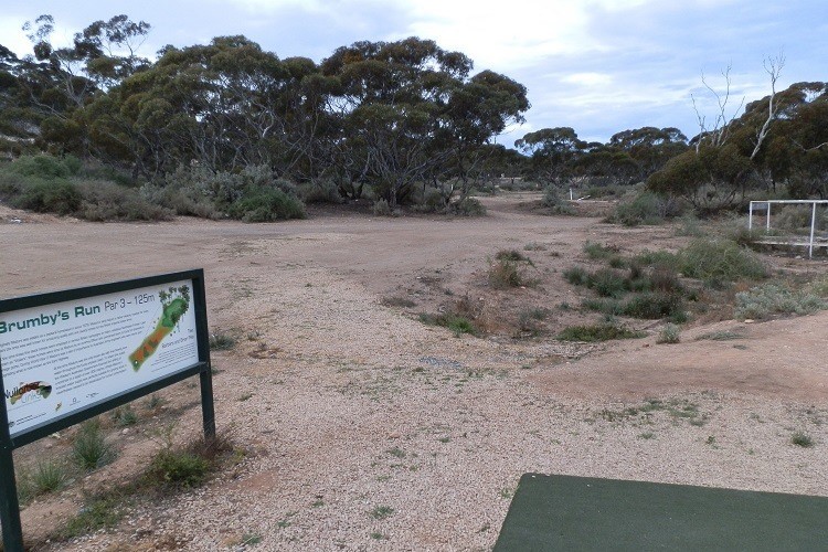 Brumby’s Run, a par 3 hole at the Nullarbor Golf Course, with sparse desert terrain and scattered trees in the background.