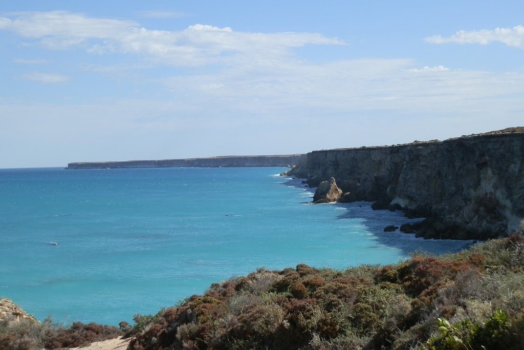 The dramatic Bunda Cliffs along the Great Australian Bight in South Australia. The towering, rugged cliffs plunge into the turquoise waters below, creating a striking contrast between the rocky shoreline and the calm sea. The foreground is dotted with coastal shrubs, while the cliffs stretch out into the distance under a partly cloudy sky, emphasizing the vastness and natural beauty of the area.