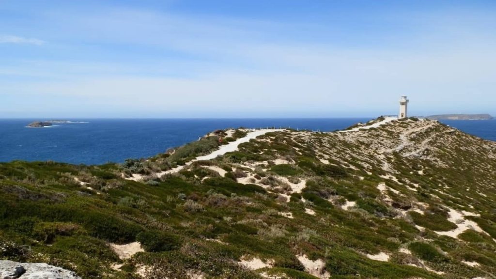 The Cape Spencer Lighthouse Walk in Innes National Park, South Australia, features a scenic trail that winds through low-lying shrubs along a hilltop overlooking the ocean. The lighthouse stands at the end of the path, with vast blue waters and distant islands in the background.