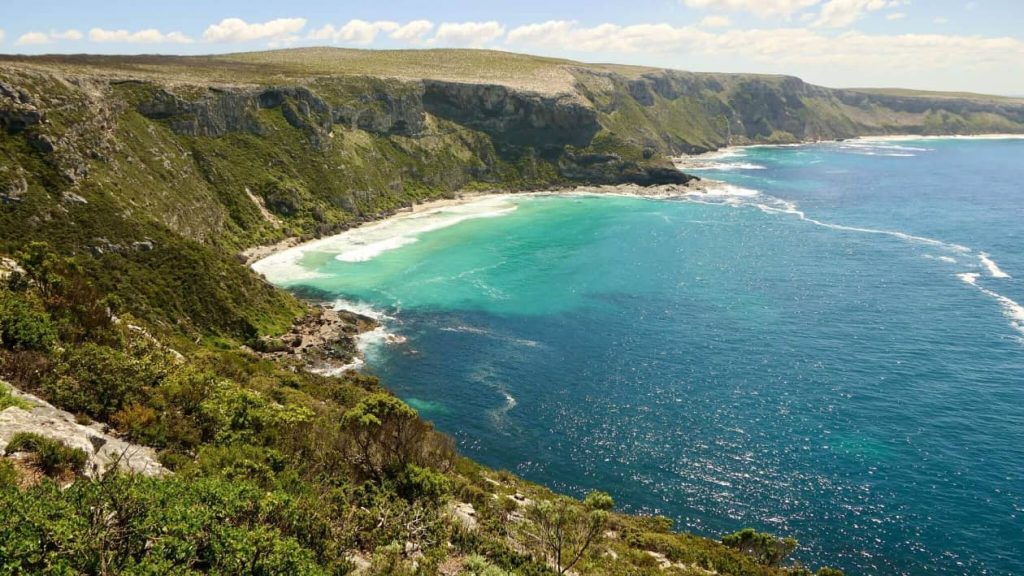 Scenic view of the Cape du Couedic coastline on Kangaroo Island, with rugged green cliffs and turquoise waters meeting the deep blue ocean under a bright, clear sky.