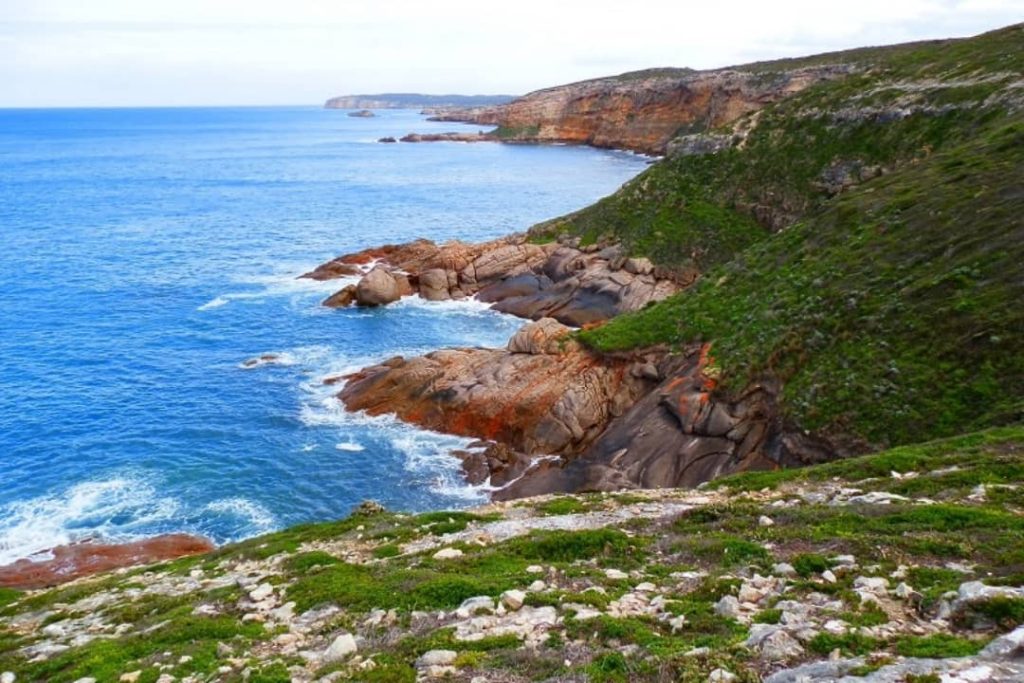 The view from the Coast from Stenhouse Bay Lookout Walk in South Australia showcases steep green cliffs meeting the vibrant blue ocean. The rugged coastline, dotted with rocky outcrops, stretches into the distance, creating a breathtaking natural scene.