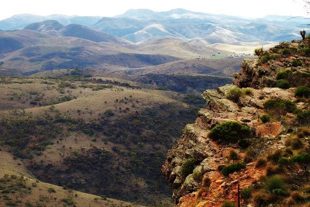 The view from Dutchmans Stern Summit in the Flinders Ranges, showcasing rolling hills and rugged landscapes.
