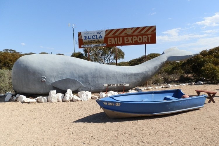 Large whale sculpture with a blue boat in front, a popular stop for things to do in the Nullarbor, near a sign welcoming visitors to Eucla, Western Australia, alongside an Emu Export advertisement.