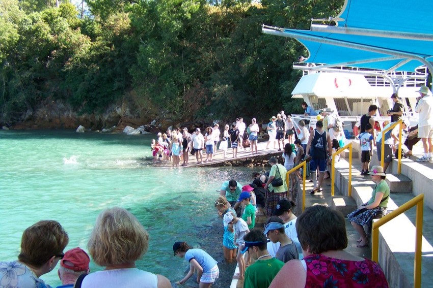 A group of people gathered at Aquascene in Darwin, participating in fish feeding. Visitors of all ages are standing near the water's edge or on a pier, reaching into the clear, turquoise water to feed the fish. The scene is lively, with lush greenery in the background and a shaded area providing a bit of relief from the sun.