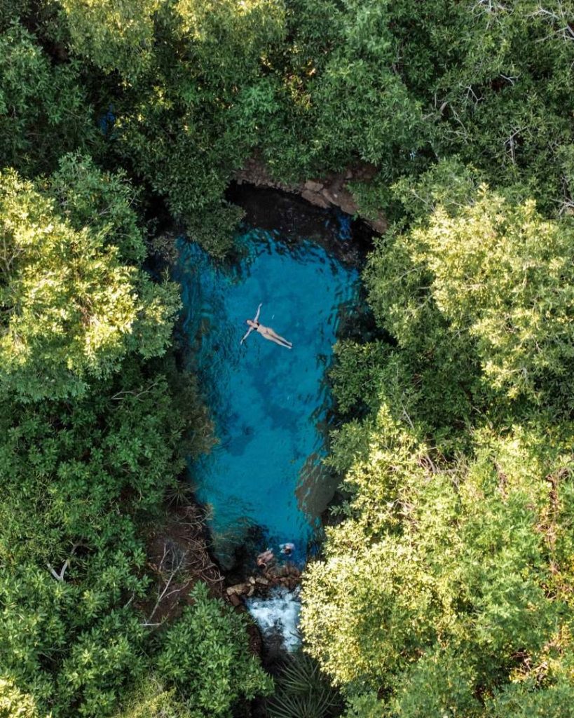 Aerial view of Katherine Hot Springs in the Northern Territory, Australia, showing a person floating peacefully in the vivid blue water surrounded by dense green foliage. The natural pool is nestled in a lush environment, with clear water reflecting the surrounding vegetation. The scene captures the serene atmosphere of the hot springs, offering a secluded and refreshing escape in nature.