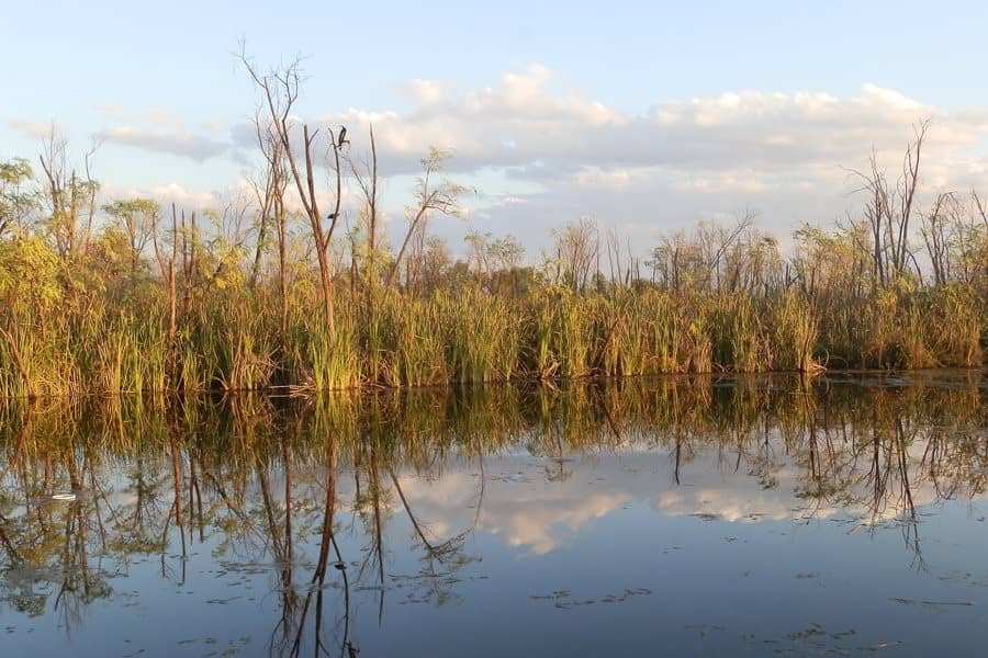 Lily Creek Lagoon in Kununurra at sunset, with calm waters reflecting trees and clouds.
