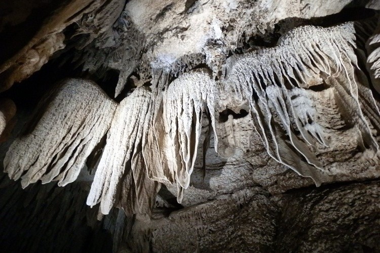 Intricate limestone formations inside the Cutta Cutta Caves near Katherine in the Northern Territory, Australia. The formations, resembling draped curtains or flowing sheets, are highlighted by cave lighting, revealing their textured and layered structure. The scene captures the natural beauty and geological complexity of these ancient underground caves.