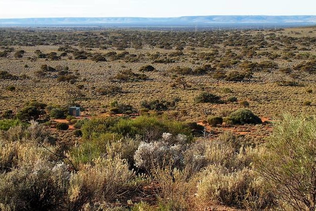 A small, green restroom building near the base of Wild Dog Hill, surrounded by bushland and red soil in Whyalla Conservation Park.