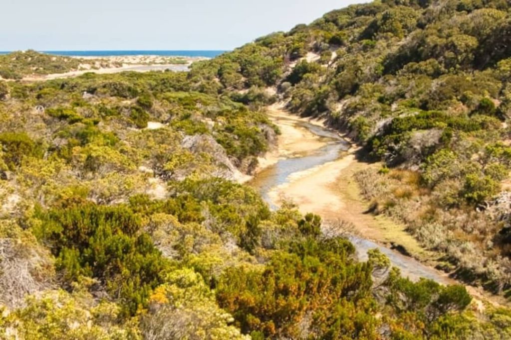 Sandy path winding through green dunes and bushland, leading towards the distant coastline near Mouth Flat Beach on Kangaroo Island.