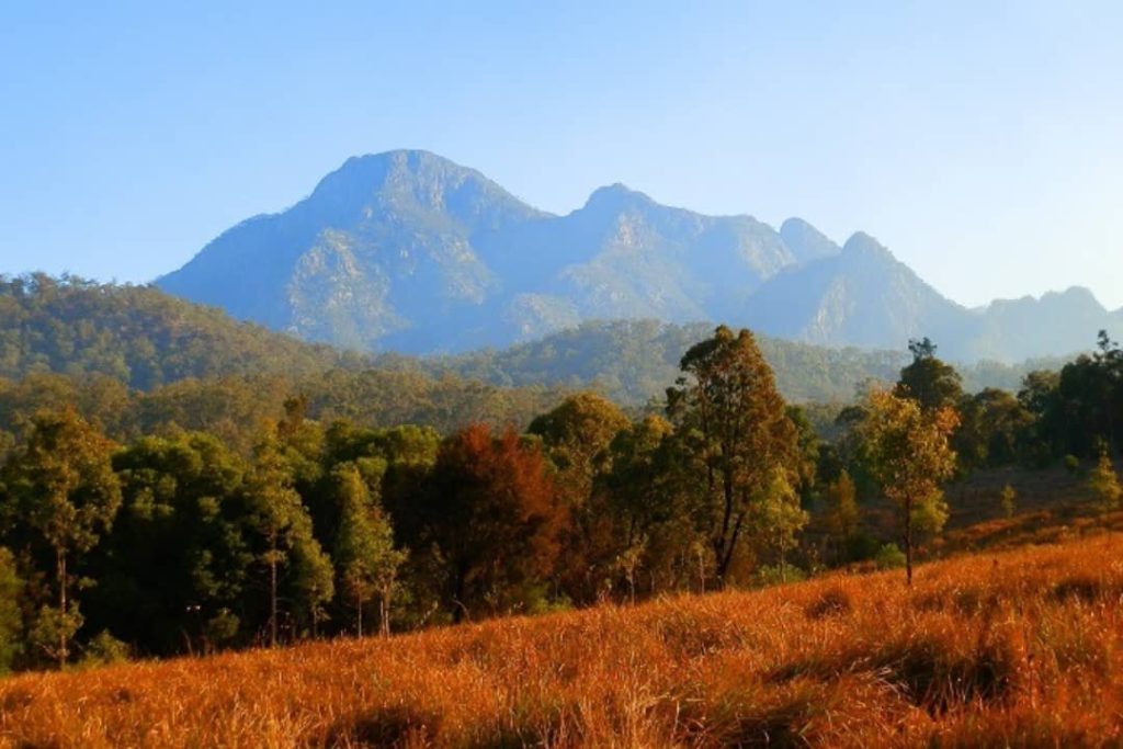 A scenic view of Mount Barney, with rugged peaks in the background surrounded by lush forests and golden grasslands in the foreground, at Mount Barney National Park near Woodenbong.