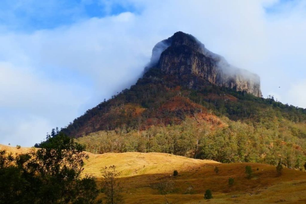 Misty view of Mt Lindesay near Woodenbong, with low clouds hugging the rugged mountain peak.