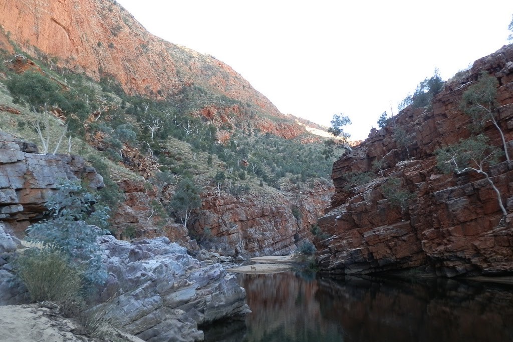 Calm waters flowing between red rock walls at Ormiston Gorge, a serene spot to explore for those seeking things to do in Central Australia. The scene is framed by lush greenery and steep cliffs.