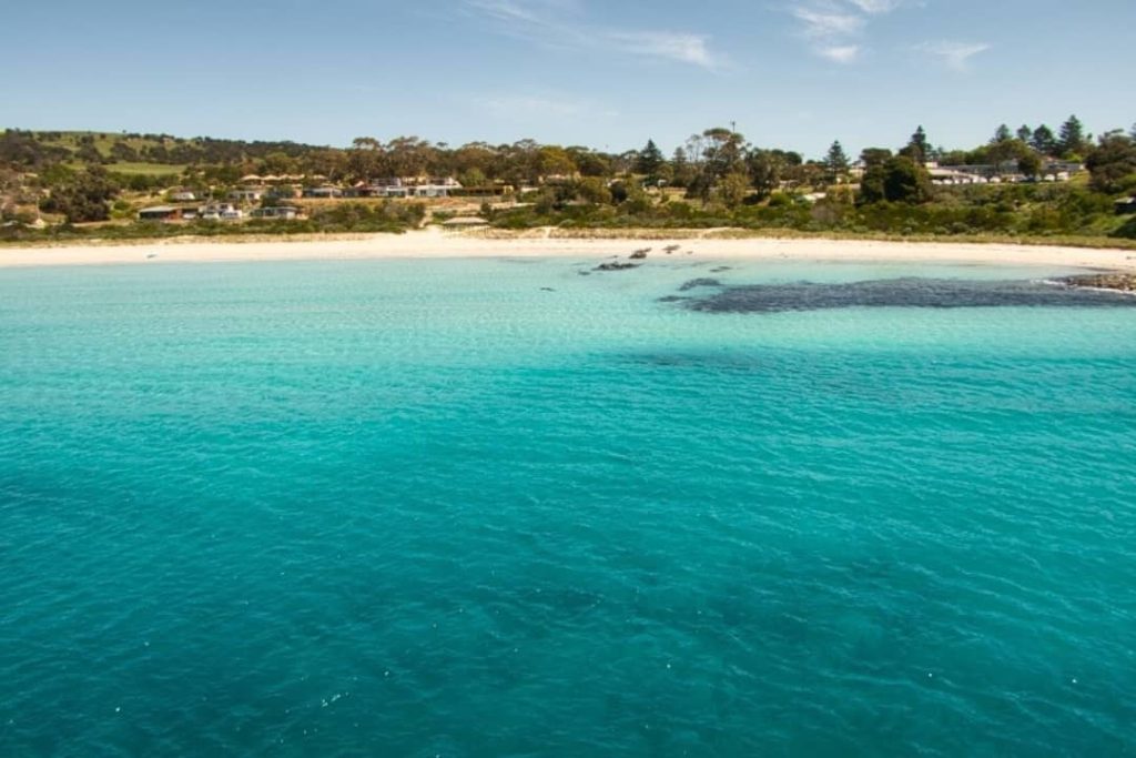 A breathtaking aerial view of Penneshaw Beach on Kangaroo Island, showcasing crystal-clear turquoise waters lapping against a pristine white sandy shore. The beach is framed by lush green vegetation and houses nestled along the hillside in the distance.