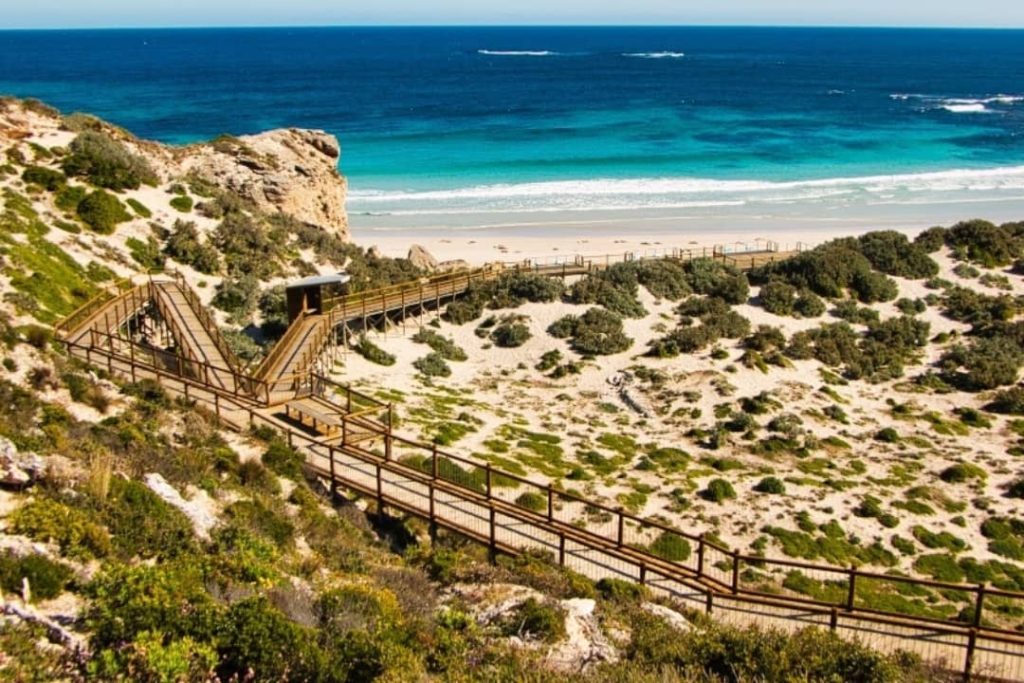 View of the Seal Bay Boardwalk on Kangaroo Island, leading to a sandy beach with clear blue waters, surrounded by dunes and native vegetation.