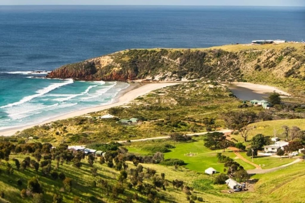Aerial view of Snellings Beach on the north coast of Kangaroo Island, featuring waves gently breaking along the shore, surrounded by lush green hills and a small community of homes.