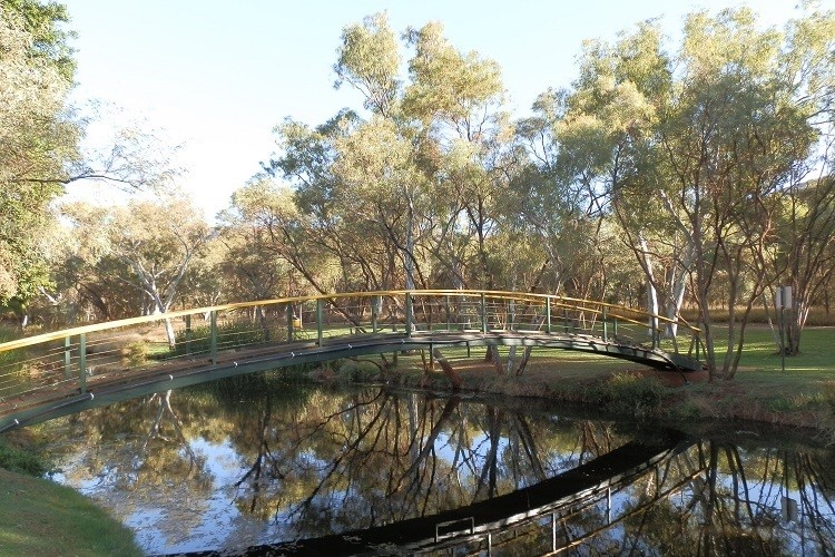 A wooden bench shaded by a tree at a local park, offering a peaceful spot to relax among things to do in Tom Price.