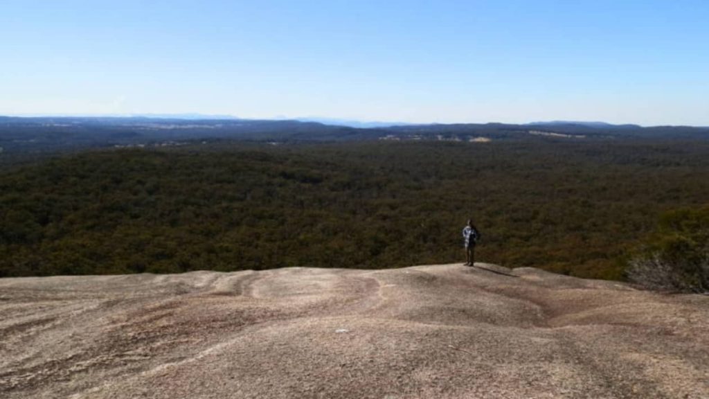 A lone hiker stands on a rocky outcrop, gazing out at a vast expanse of forested hills stretching toward the horizon under a clear blue sky.