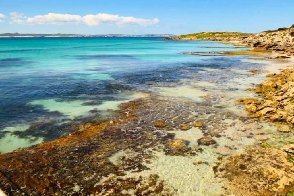 A clear, shallow reef along the shoreline of Vivonne Bay, Kangaroo Island, with turquoise waters stretching to the horizon under a bright blue sky.