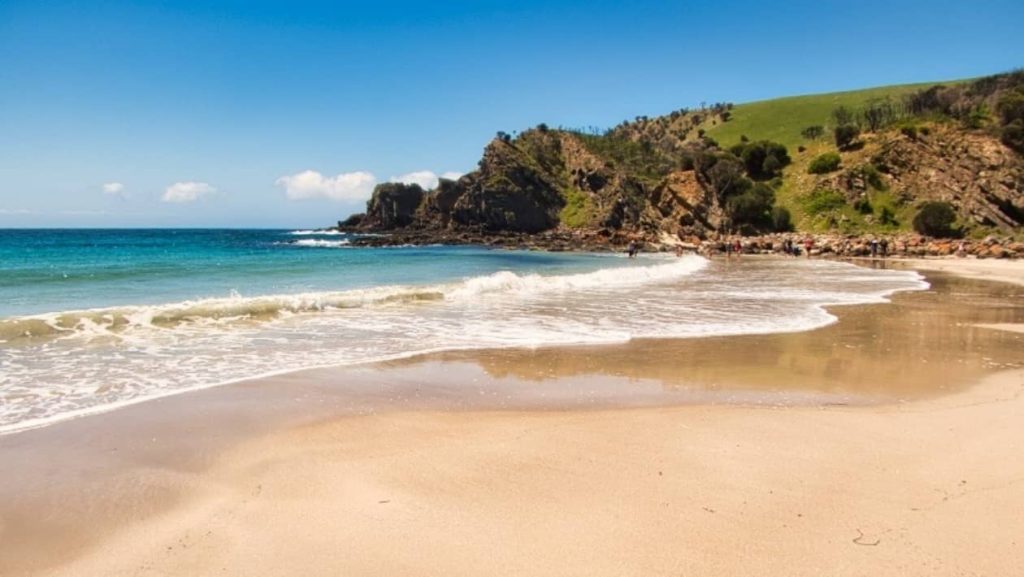 Sandy shoreline of Western River Cove Beach, Kangaroo Island, with gentle waves rolling in and green cliffs in the background under a clear blue sky.
