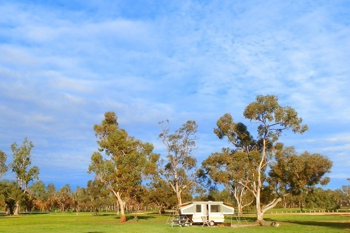 A white camper trailer parked in a grassy field under a bright blue sky, surrounded by tall gum trees, capturing a peaceful camping scene in Wyperfeld National Park.
