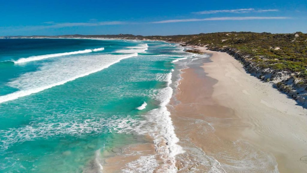 Aerial view of Pennington Bay Beach on Kangaroo Island, showcasing turquoise waves rolling onto the sandy shore, with green coastal dunes stretching along the coastline under a bright blue sky.