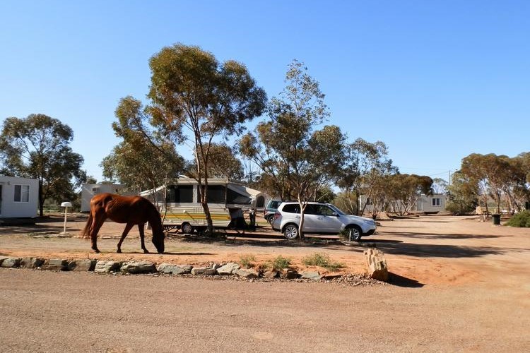 Caravan Park in outback South Australia, featuring a parked caravan, a car, and a grazing horse. The park is surrounded by native trees and has a rustic, laid-back atmosphere with simple facilities in a dry, rural setting. The scene highlights the relaxed and informal character of outback caravan parks.