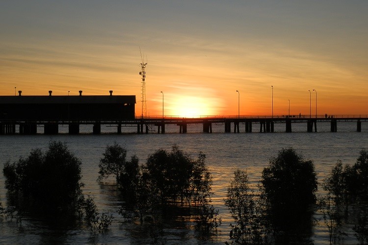 Golden sunset over Derby Jetty with silhouetted mangroves in the foreground, a peaceful sight and popular activity for visitors exploring things to do in Derby WA.