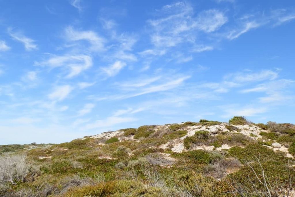 A stretch of natural dunes covered with low shrubs under a bright blue sky at Innes National Park. Wispy clouds drift across the sky, contrasting beautifully with the earthy tones of the landscape.