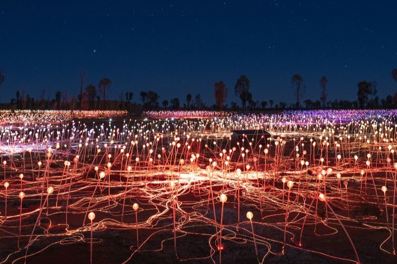 The image captures the "Field of Light" art installation near Uluru, featuring thousands of illuminated glass spheres spread across the desert landscape. The lights, connected by glowing trails, create a mesmerizing display of colors including red, purple, and white against the dark sky. The installation blends seamlessly with the natural surroundings, evoking a sense of magic and wonder in the outback.