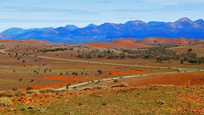 The image shows the Flinders Ranges in South Australia, featuring a vast landscape of rolling red and green hills with winding dirt roads. Sparse trees dot the arid terrain, and the distant mountains create a dramatic backdrop under a clear sky. The vivid earth tones contrast with the deep blue of the mountain range, highlighting the natural beauty of this rugged region.