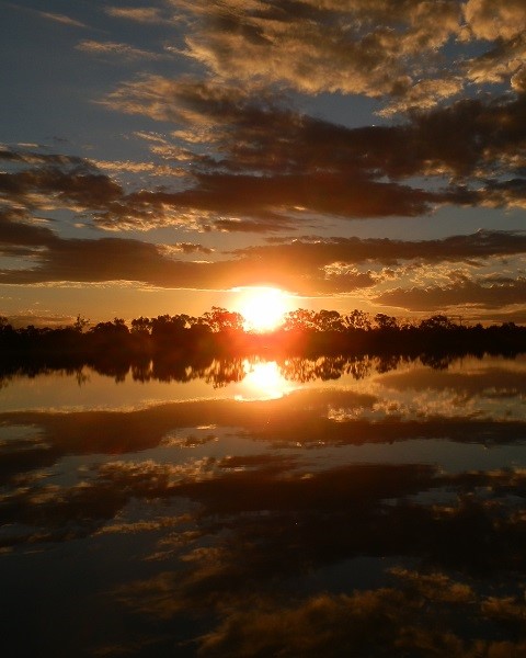 A stunning sunset at Lake Lascelles, with the golden sun sinking behind the trees, casting a fiery reflection on the calm lake and painting the clouds with warm hues of orange and gold.