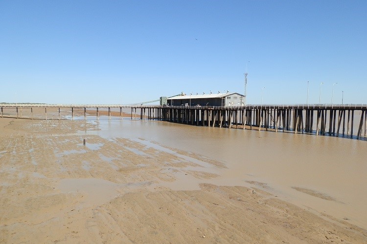 Low tide view of Derby Jetty in Western Australia, showcasing the muddy shoreline under a clear blue sky—one of the unique things to do in Derby WA for scenic exploration.