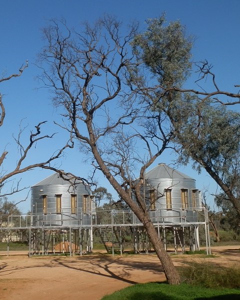 Two silo-shaped cabins at Mallee Bush Retreat, elevated on stilts and surrounded by leafless gum trees, under a clear blue sky, offering a unique outback accommodation experience.
