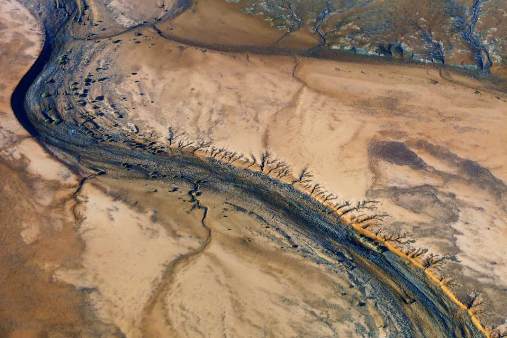 Aerial view of winding, dry riverbeds creating intricate patterns in the outback of South Australia, with earthy tones and natural textures.